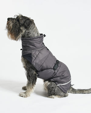 COSIMA DOG WINTER COAT | מעיל חורף לכלב