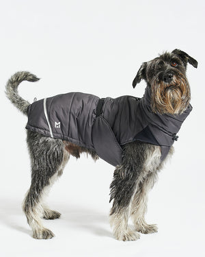 COSIMA DOG WINTER COAT | מעיל חורף לכלב