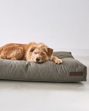 ריפוד להחלפה למיטה לכלב | REPLACEMENT COVER FOR MARE DOG CUSHION