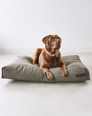 ריפוד להחלפה למיטה לכלב | REPLACEMENT COVER FOR MARE DOG CUSHION