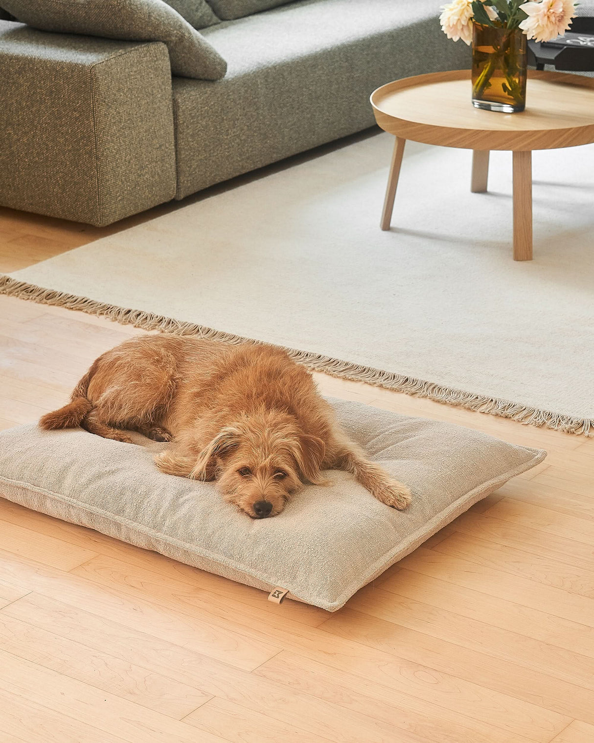 CAMPO ORTHOPEDIC DOG CUSHION | כרית אורתופדית לכלב