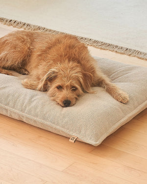 CAMPO ORTHOPEDIC DOG CUSHION | כרית אורתופדית לכלב