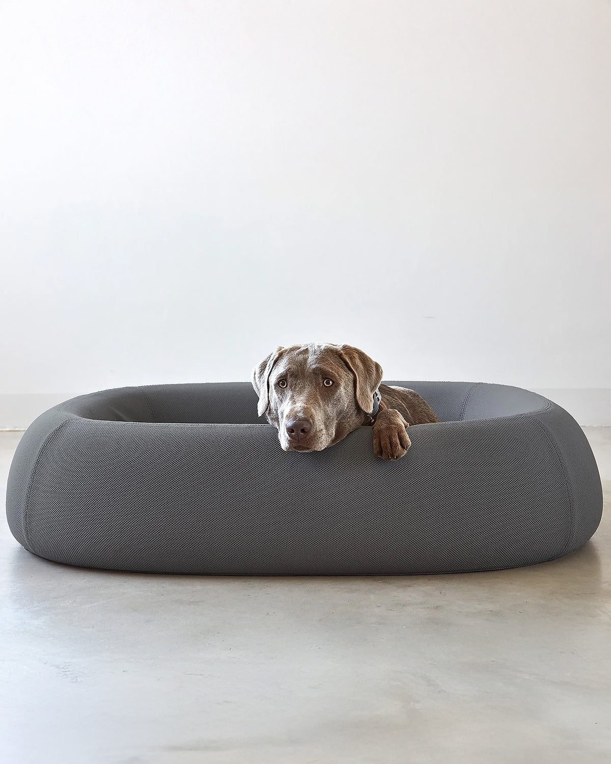 מיטה  אורתופדית לכלב | BARCA ORTHOPEDIC DOG BED
