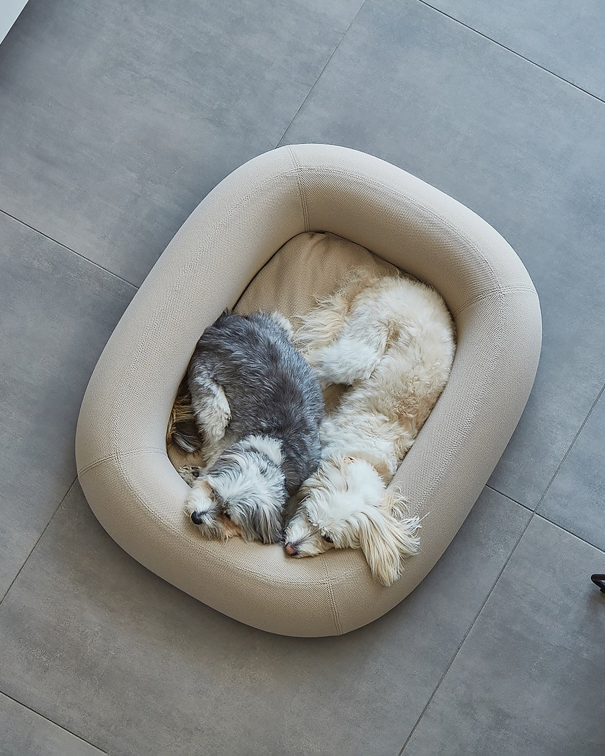 מיטה  אורתופדית לכלב | BARCA ORTHOPEDIC DOG BED