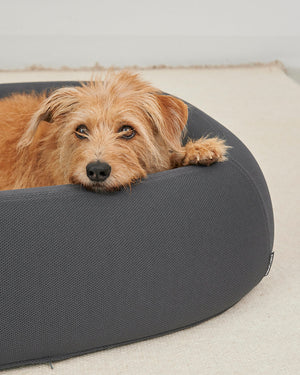 מיטה  אורתופדית לכלב | BARCA ORTHOPEDIC DOG BED