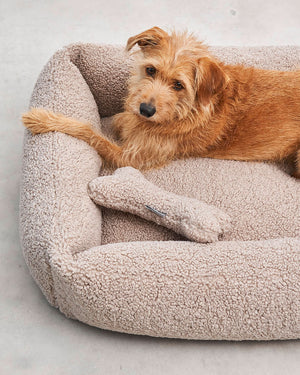 SENSO DOG BOX BED | מיטה אורתופדית לכלב