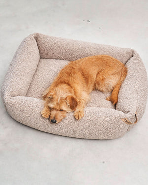 SENSO DOG BOX BED | מיטה אורתופדית לכלב