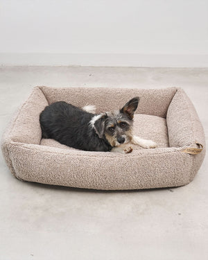 SENSO DOG BOX BED | מיטה אורתופדית לכלב