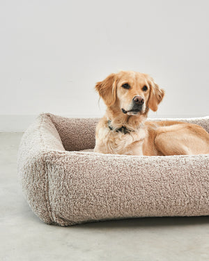 מיטה אורתופדית לכלב | SENSO DOG BOX BED