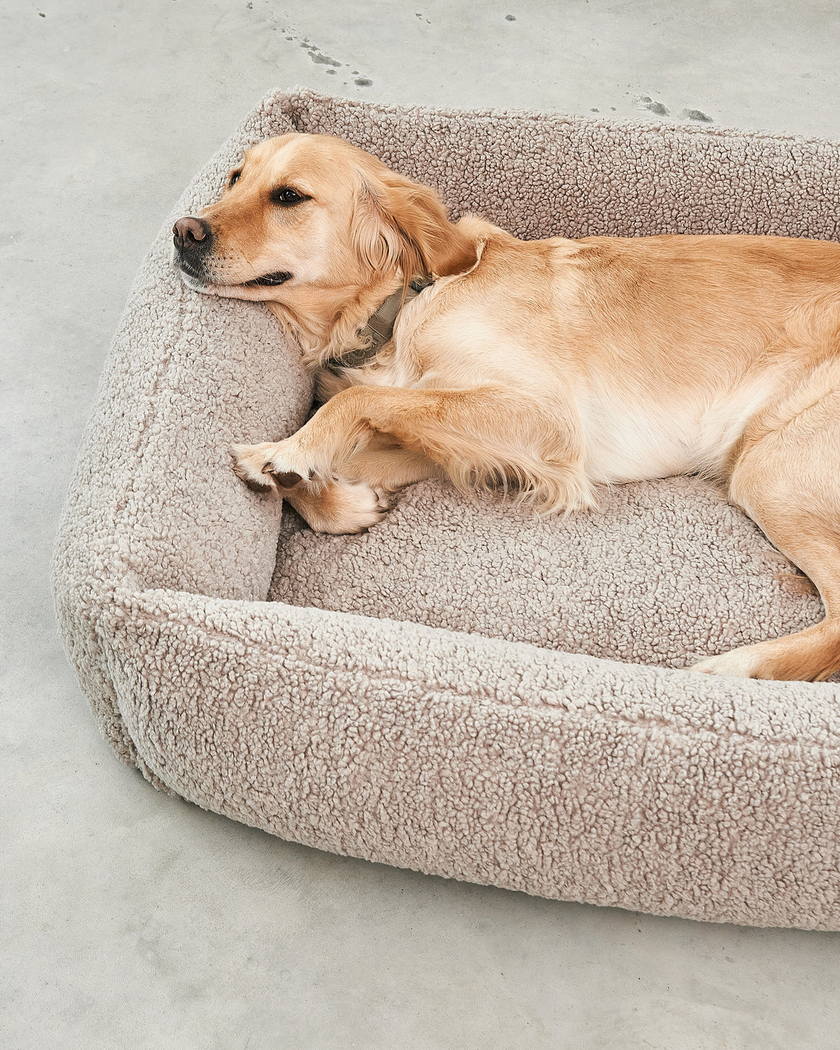 מיטה אורתופדית לכלב | SENSO DOG BOX BED