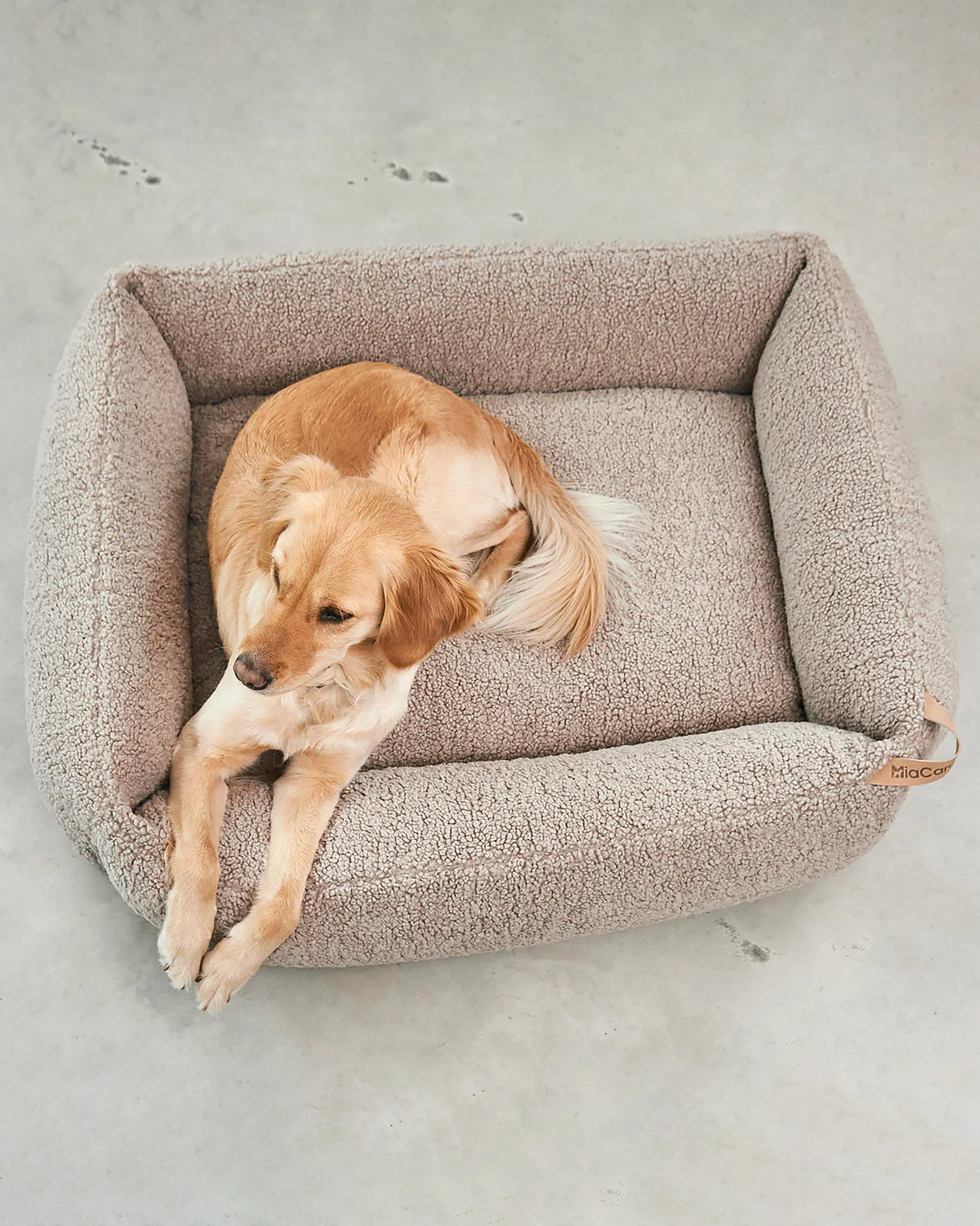 מיטה אורתופדית לכלב | SENSO DOG BOX BED