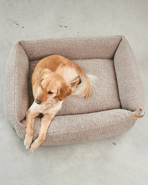 מיטה אורתופדית לכלב | SENSO DOG BOX BED