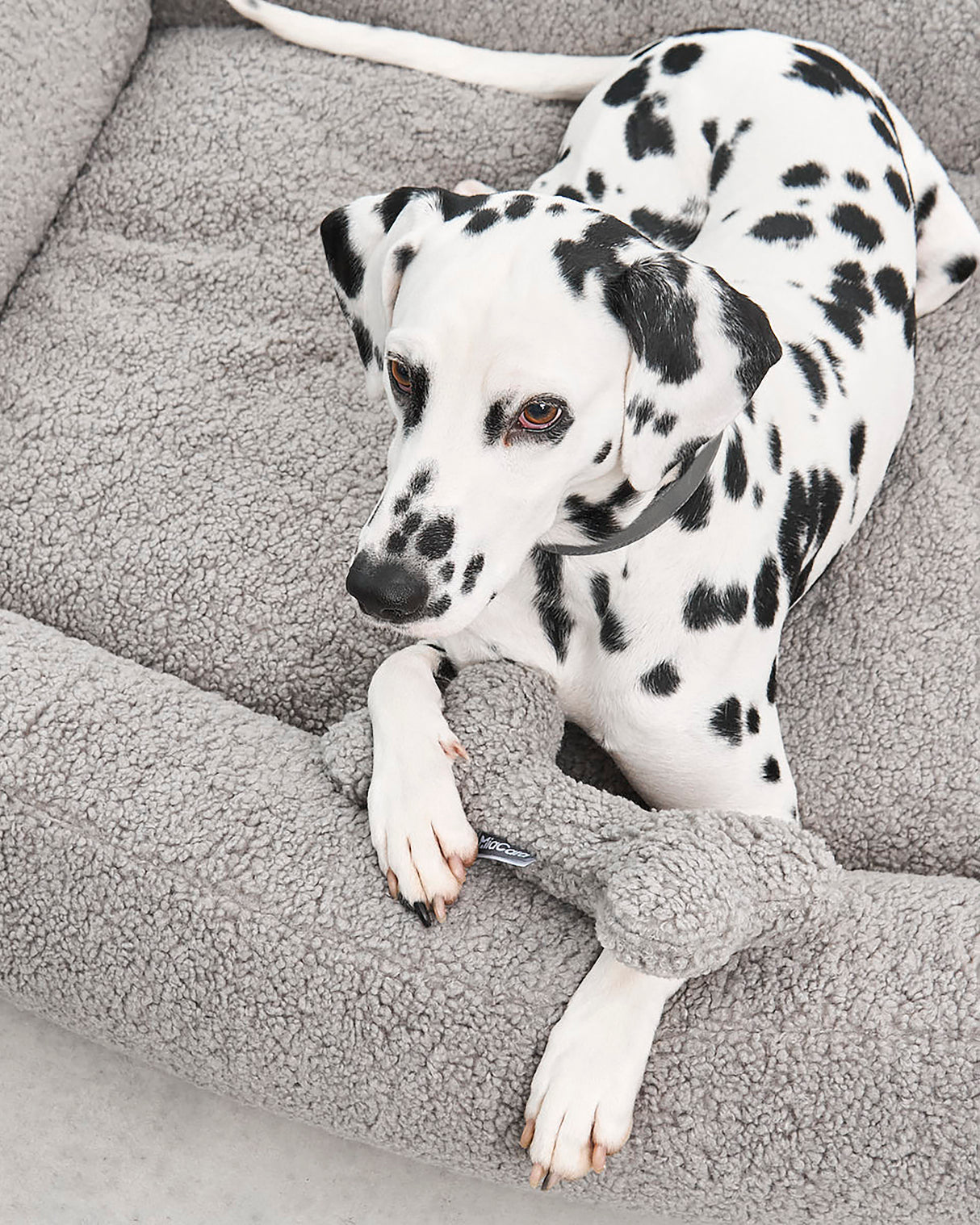 ריפוד להחלפה למיטה לכלב | REPLACEMENT COVER FOR SENSO DOG BOX BED