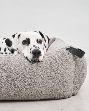ריפוד להחלפה למיטה לכלב | REPLACEMENT COVER FOR SENSO DOG BOX BED