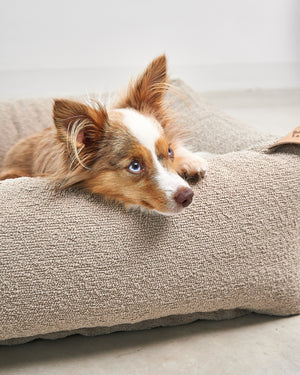 ריפוד להחלפה למיטה לכלב | REPLACEMENT COVER FOR MONDO DOG BOX BED