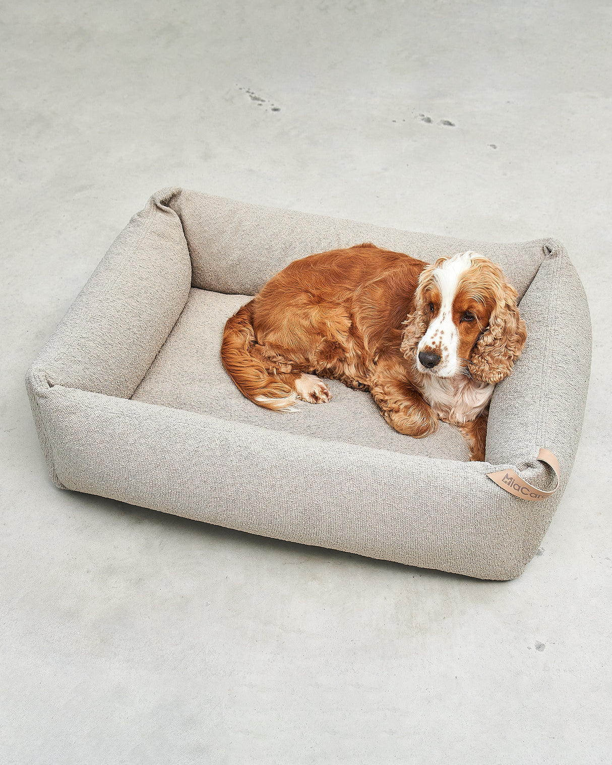 ריפוד להחלפה למיטה לכלב | REPLACEMENT COVER FOR MONDO DOG BOX BED