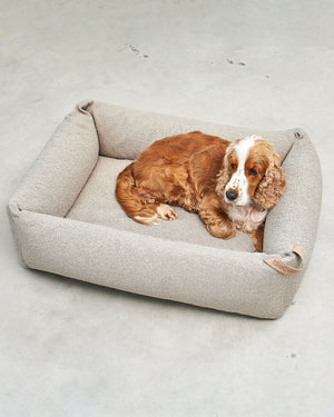 מיטה אורתופדית לכלב | MONDO DOG BOX BED