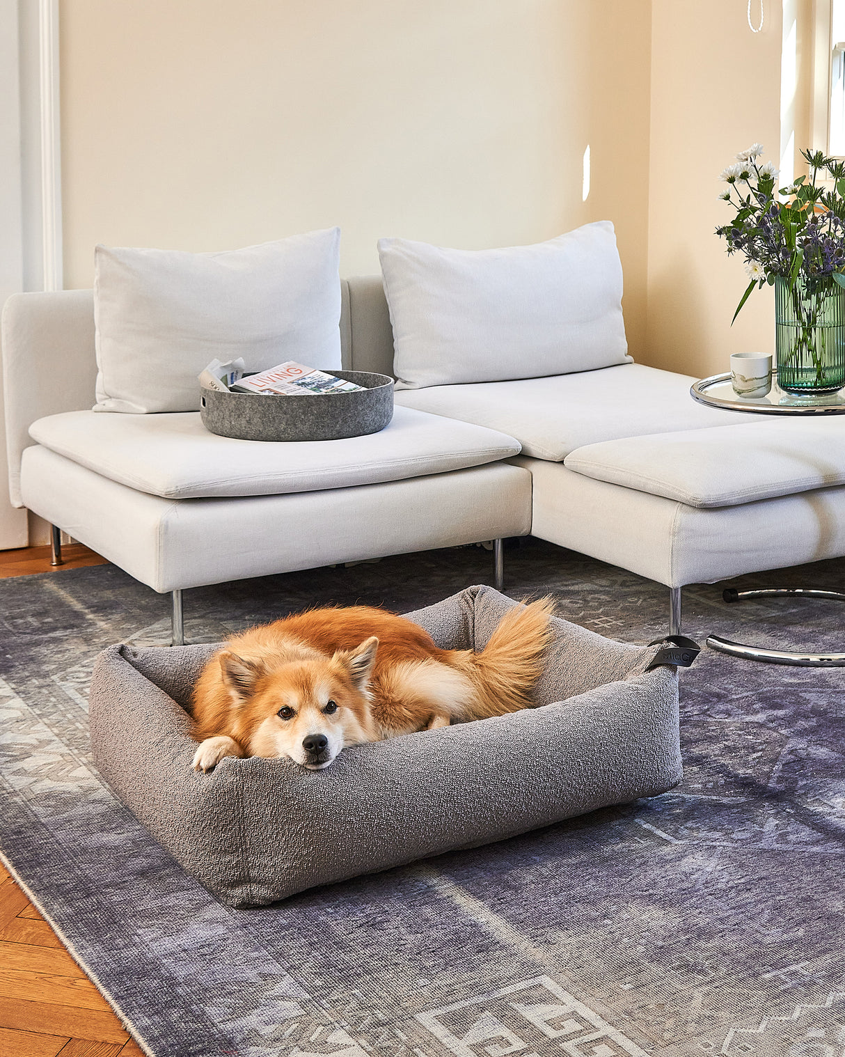 ריפוד להחלפה למיטה לכלב | REPLACEMENT COVER FOR MONDO DOG BOX BED