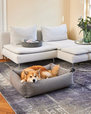 ריפוד להחלפה למיטה לכלב | REPLACEMENT COVER FOR MONDO DOG BOX BED
