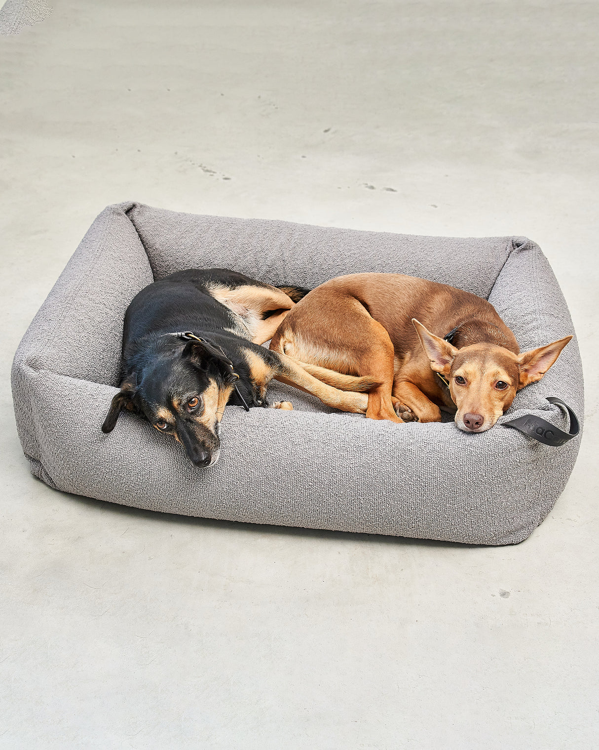 ריפוד להחלפה למיטה לכלב | REPLACEMENT COVER FOR MONDO DOG BOX BED