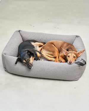 ריפוד להחלפה למיטה לכלב | REPLACEMENT COVER FOR MONDO DOG BOX BED