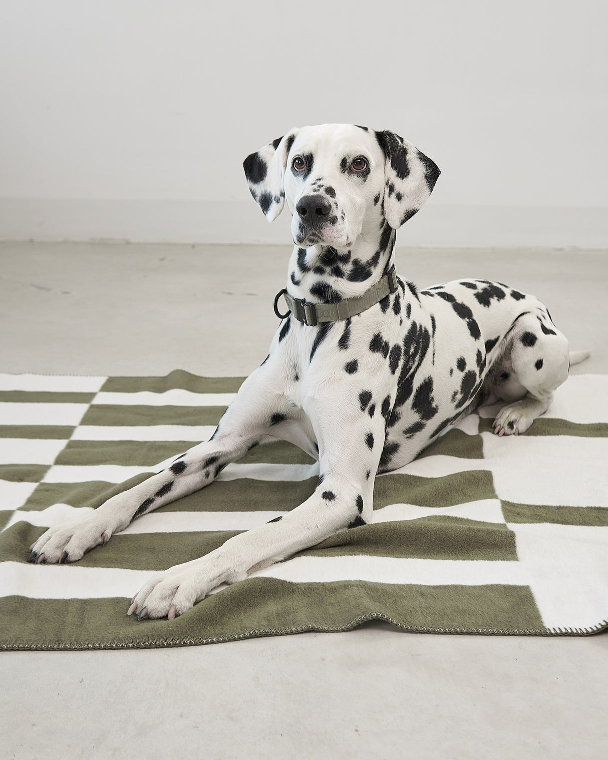 BLOCCO DOG COTTON BLANKET | שמיכה לכלב