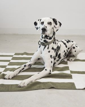 BLOCCO DOG COTTON BLANKET | שמיכה לכלב