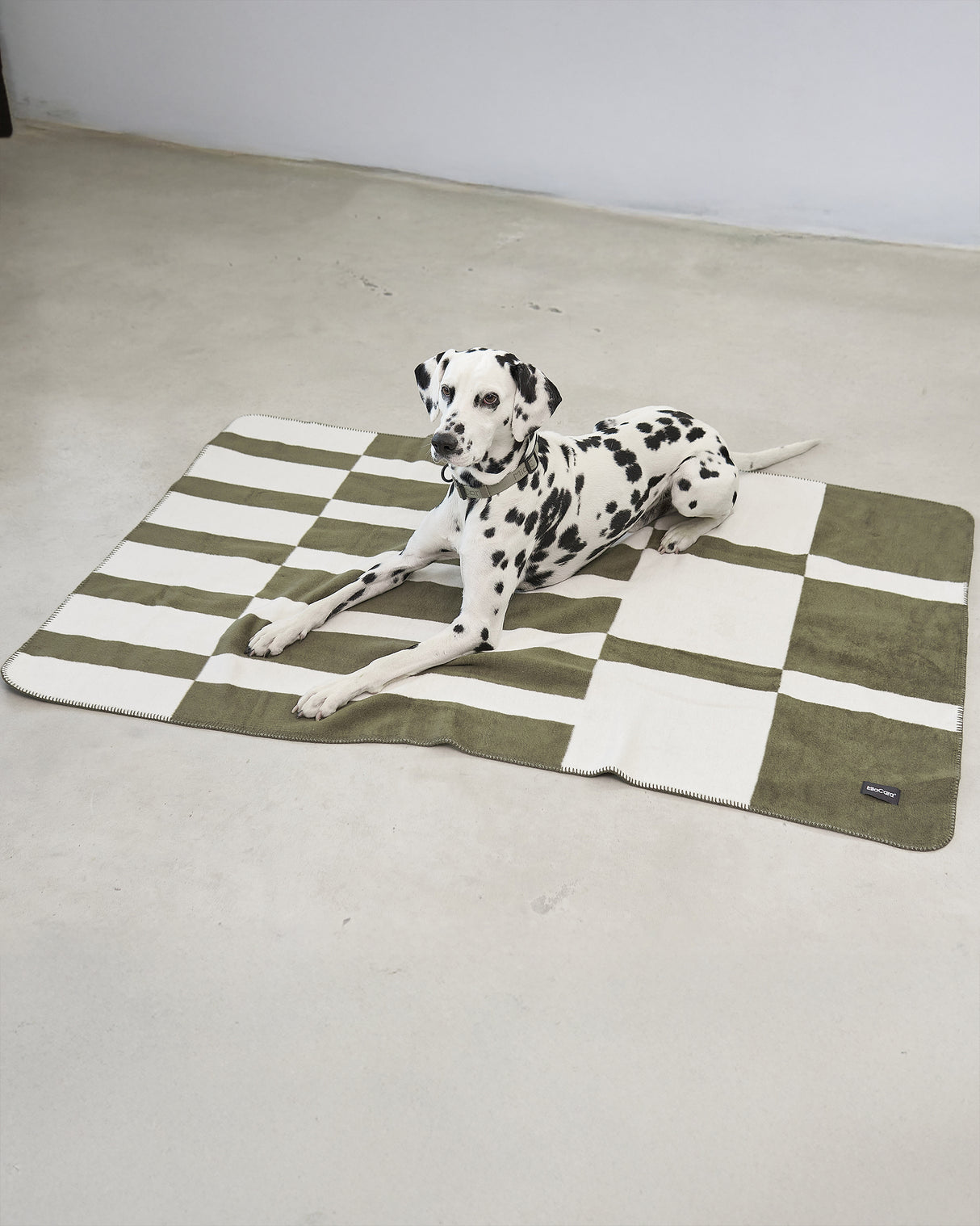 BLOCCO DOG COTTON BLANKET | שמיכה לכלב