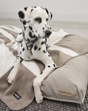 BLOCCO DOG COTTON BLANKET | שמיכה לכלב