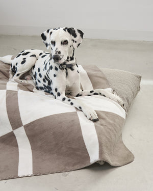 BLOCCO DOG COTTON BLANKET | שמיכה לכלב
