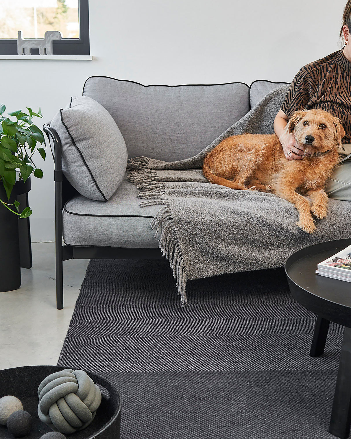 BUCCOLA THROW FAMILY BLANKET | שמיכה לכלב, לחתול ולבעלים