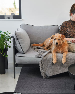 BUCCOLA THROW FAMILY BLANKET | שמיכה לכלב, לחתול ולבעלים