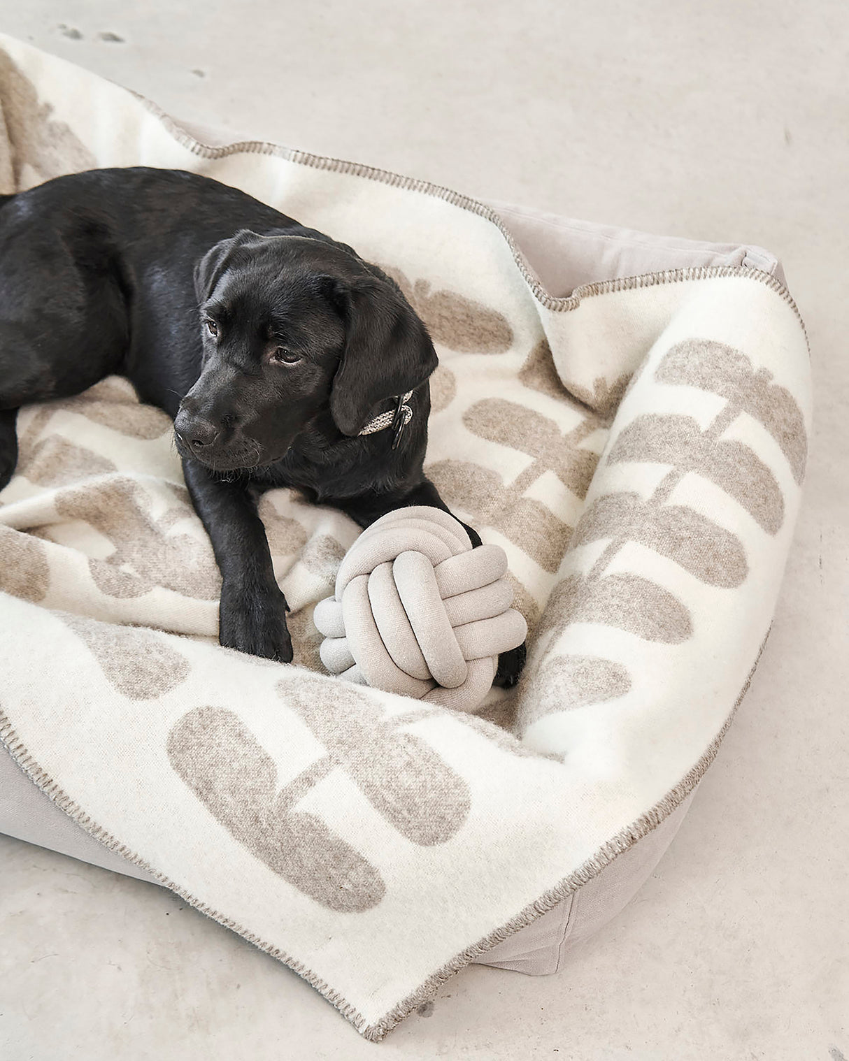 FLORA DOG WOOL BLANKET | שמיכה לכלב