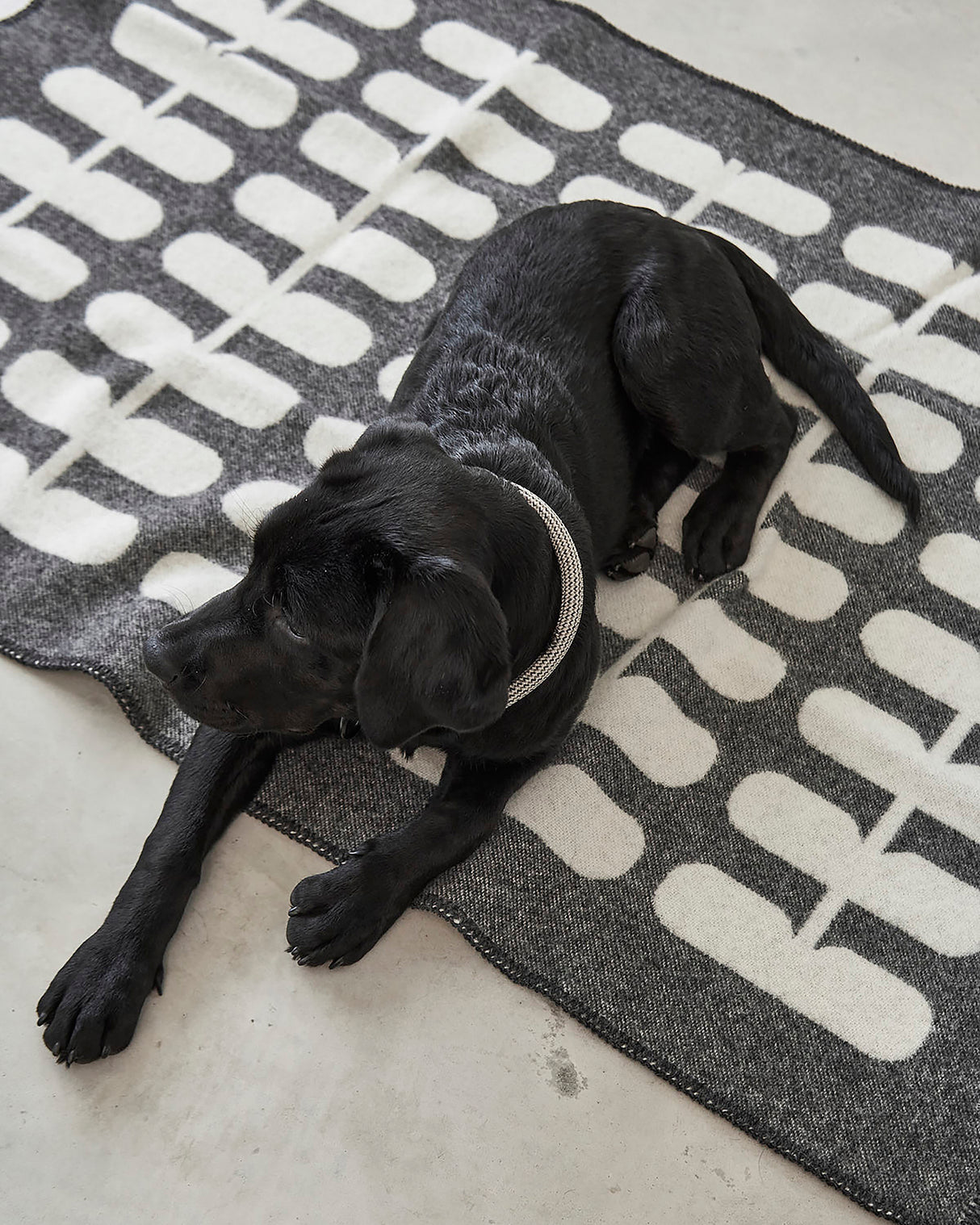 FLORA DOG WOOL BLANKET | שמיכה לכלב