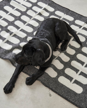 FLORA DOG WOOL BLANKET | שמיכה לכלב