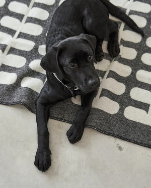 FLORA DOG WOOL BLANKET | שמיכה לכלב