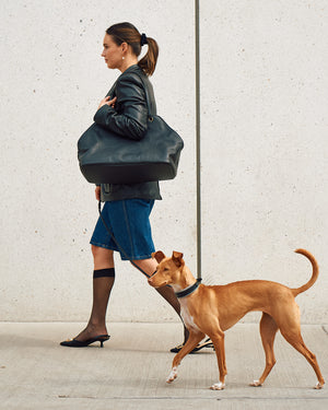 תיק נשיאה לכלב מעור אלגנטי | Borsa Dog Leather Carrier Bag