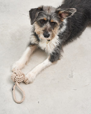 NODO DOG ROPE TOY |  חבל משחק לכלב