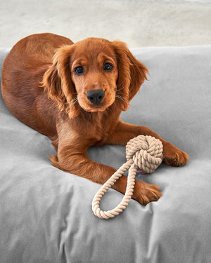NODO DOG ROPE TOY |  חבל משחק לכלב