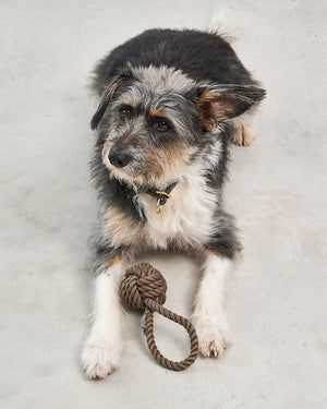 NODO DOG ROPE TOY |  חבל משחק לכלב