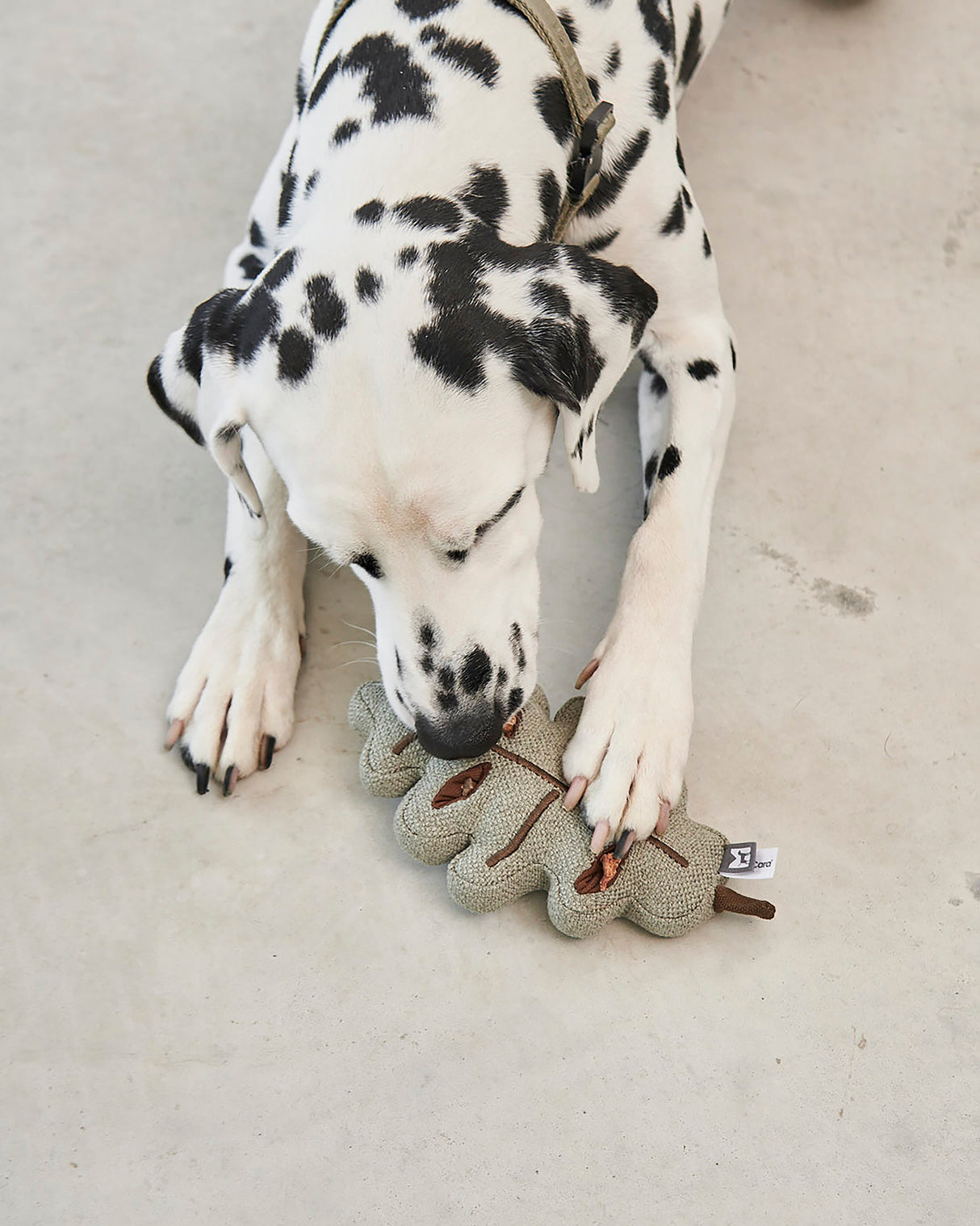 FORESTA DOG SNUFFLE TOYS SET |  סט צעצועי ריחרוח לכלבים