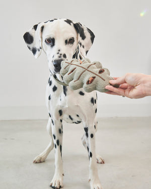 FORESTA DOG SNUFFLE TOYS SET |  סט צעצועי ריחרוח לכלבים