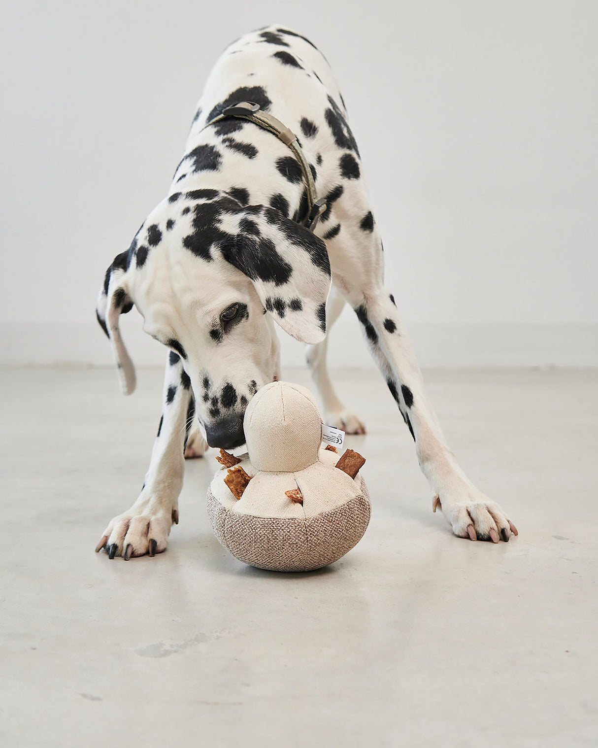 FORESTA DOG SNUFFLE TOYS SET |  סט צעצועי ריחרוח לכלבים