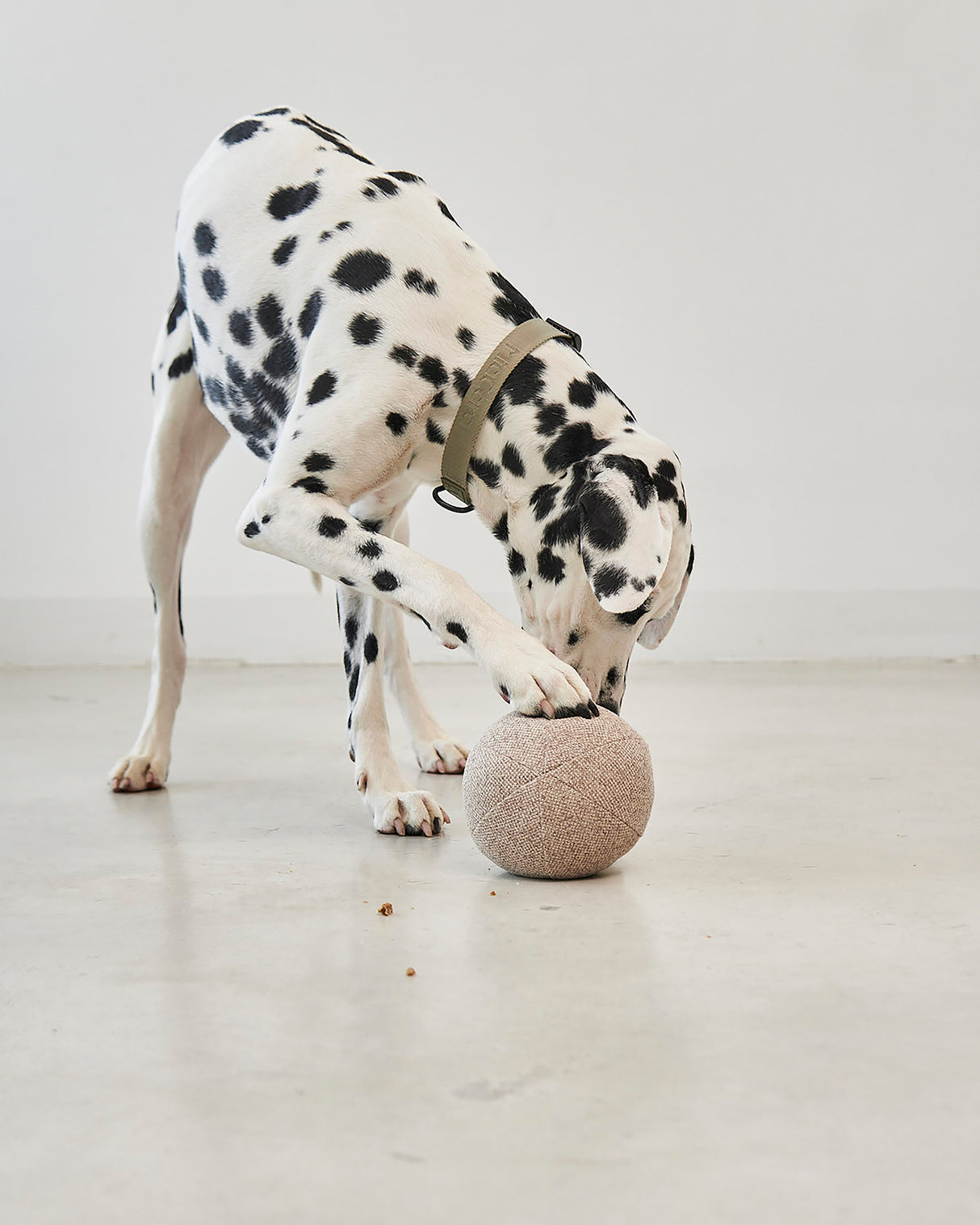 FORESTA DOG SNUFFLE TOYS SET |  סט צעצועי ריחרוח לכלבים