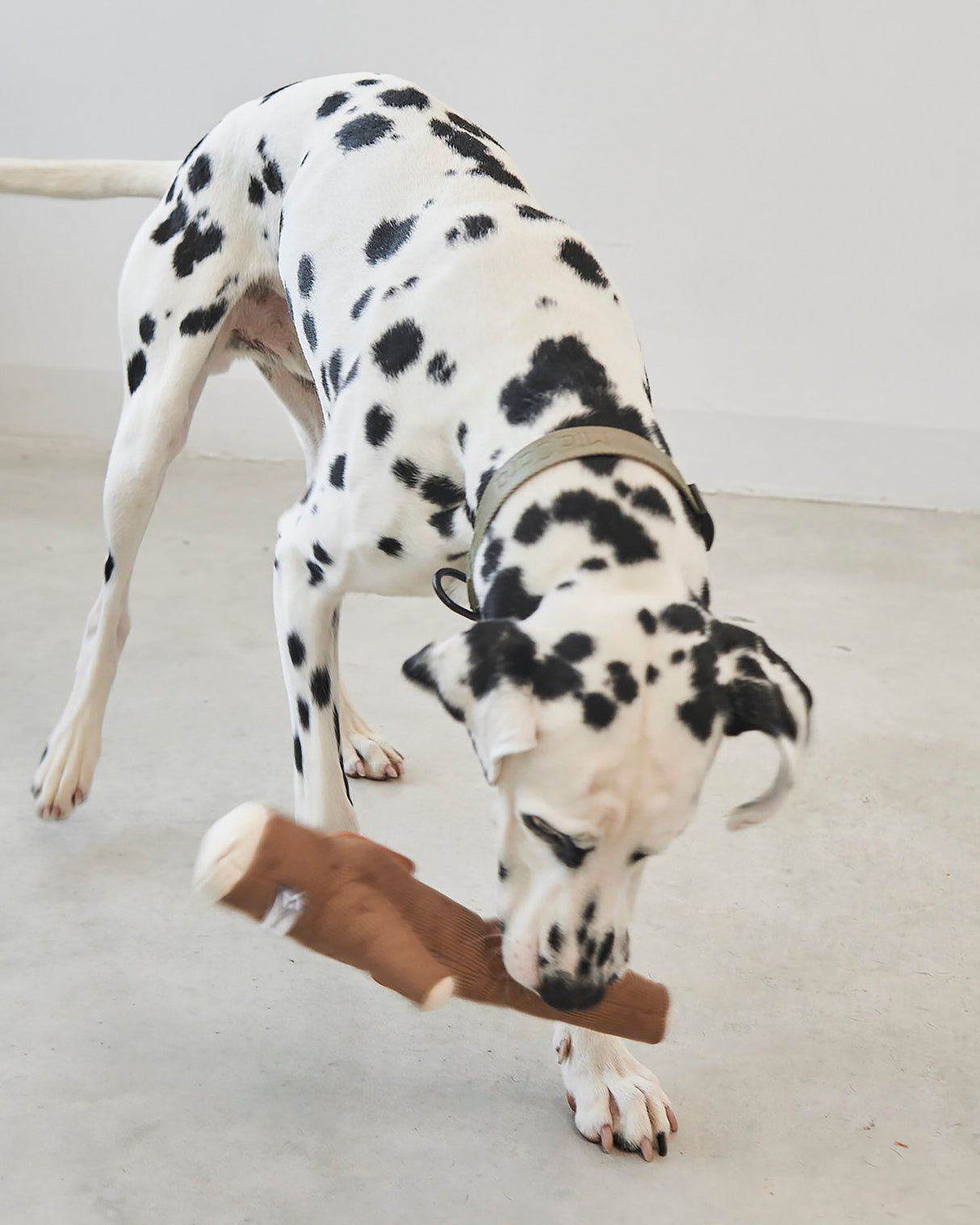 FORESTA DOG SNUFFLE TOYS SET |  סט צעצועי ריחרוח לכלבים