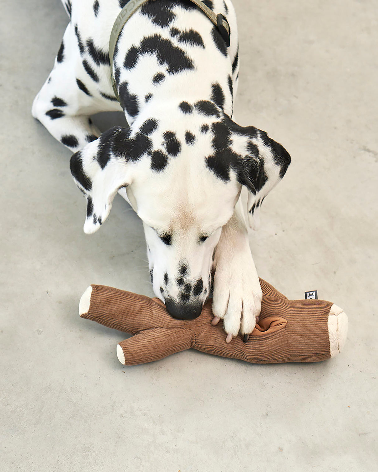 FORESTA DOG SNUFFLE TOYS SET |  סט צעצועי ריחרוח לכלבים