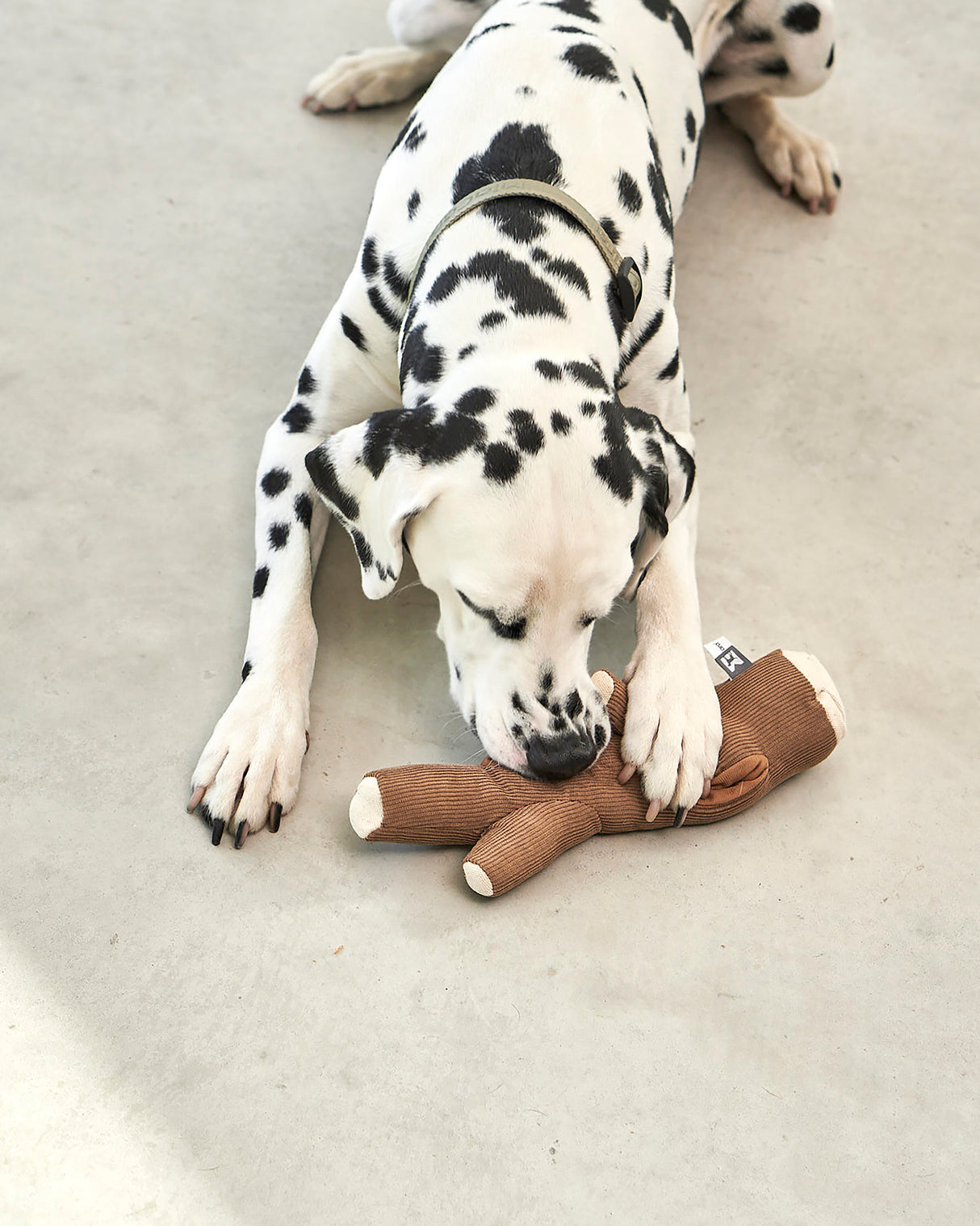 FORESTA DOG SNUFFLE TOYS SET |  סט צעצועי ריחרוח לכלבים