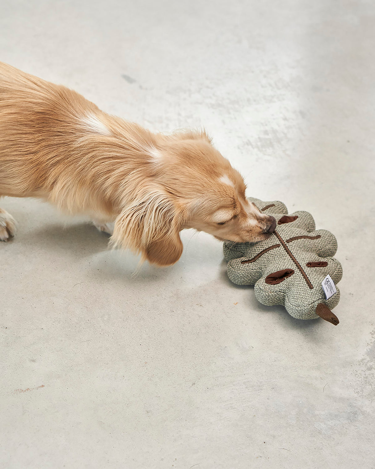 FORESTA DOG SNUFFLE TOYS SET |  סט צעצועי ריחרוח לכלבים