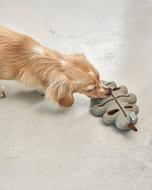 FORESTA DOG SNUFFLE TOYS SET |  סט צעצועי ריחרוח לכלבים