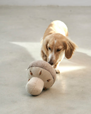 FORESTA DOG SNUFFLE TOYS SET |  סט צעצועי ריחרוח לכלבים